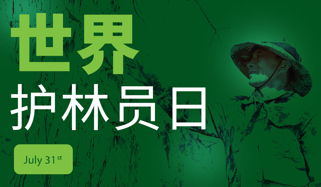 7.31 世界护林员日：守护绿色的无名英雄